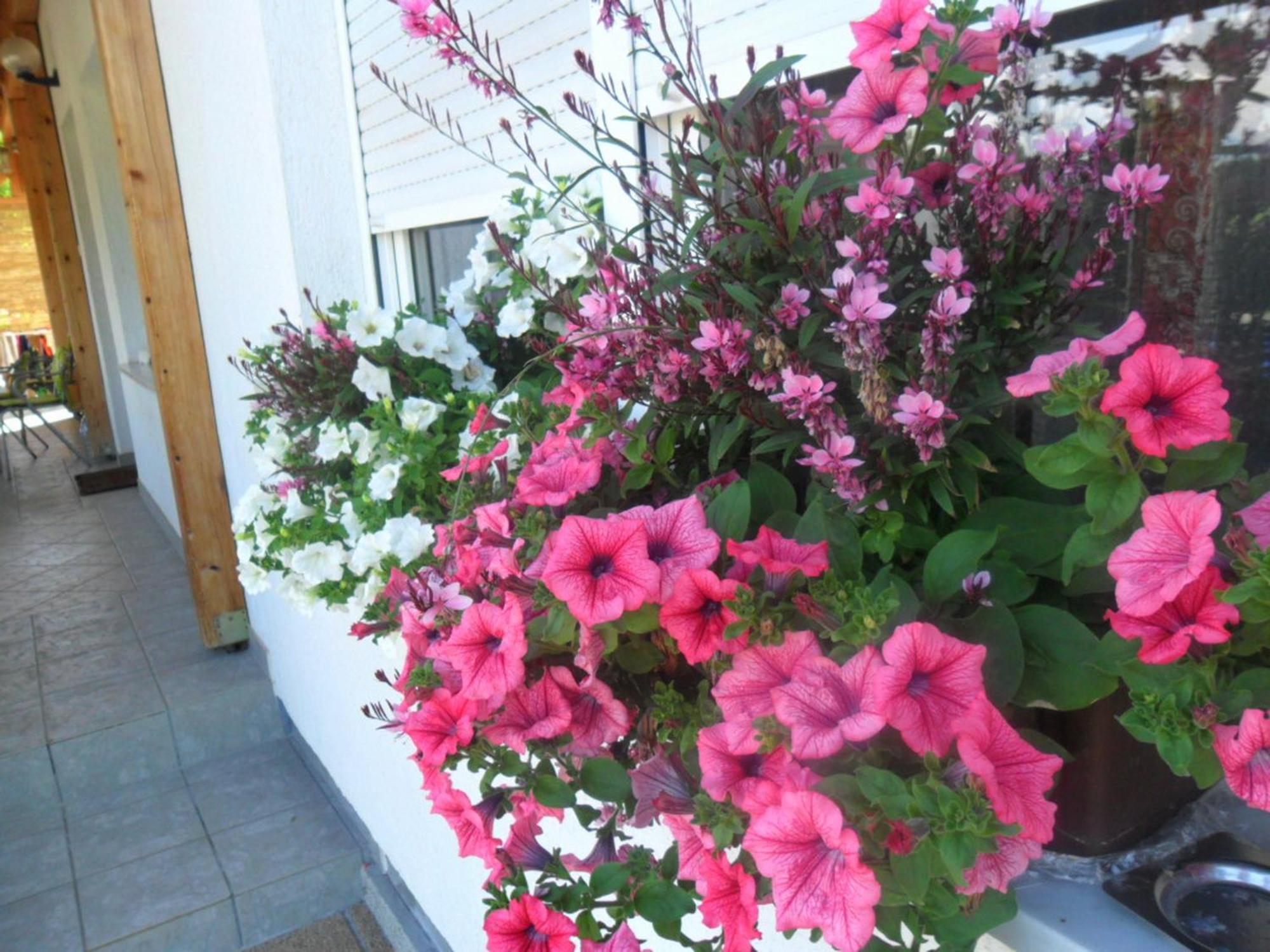 Guesthouse Sara Grabovac  Exterior photo