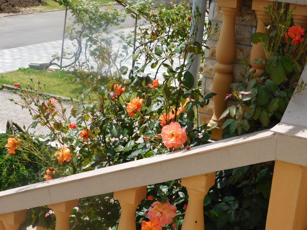 Guesthouse Sara Grabovac  Exterior photo